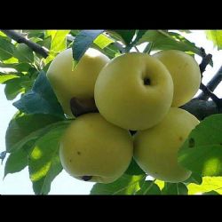 FB_IMG_1474748149030