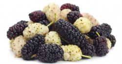 dut fidani eksi kara